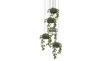 植物吊篮sketchup